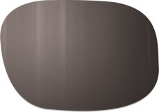Verres Solaires Spectron 3+ Brun